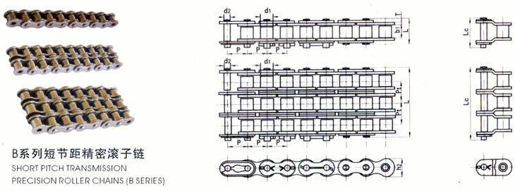 Short Double Pitch Roller Chain , Precision Ss Conveyor Chain B Series