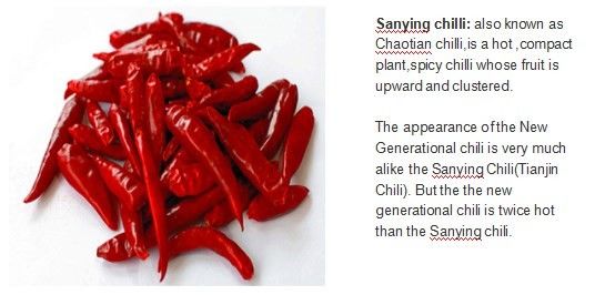 12% Moisture 4-7cm Dried Birds Eye Chilli Whole Chaotian Red Chilies