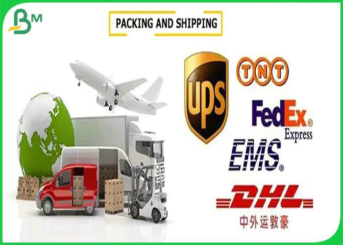 Fully Safe & Clean 70*100cm 160gsm +12g PE Cup Paper Roll For Coffee Cup