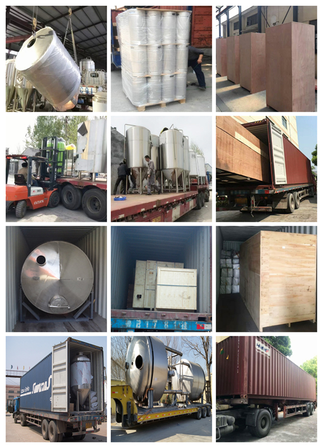 Electricity/Steam/Fire Heating Conical Fermentation Tank for Small Batch Brewing