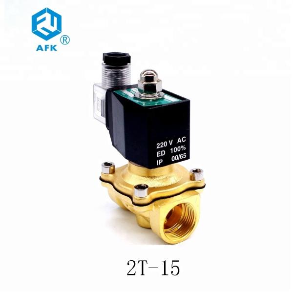 Electric 1/2 inch Brass CO2 Nitrogen Lpg Gas Solenoid Valve DC 24V