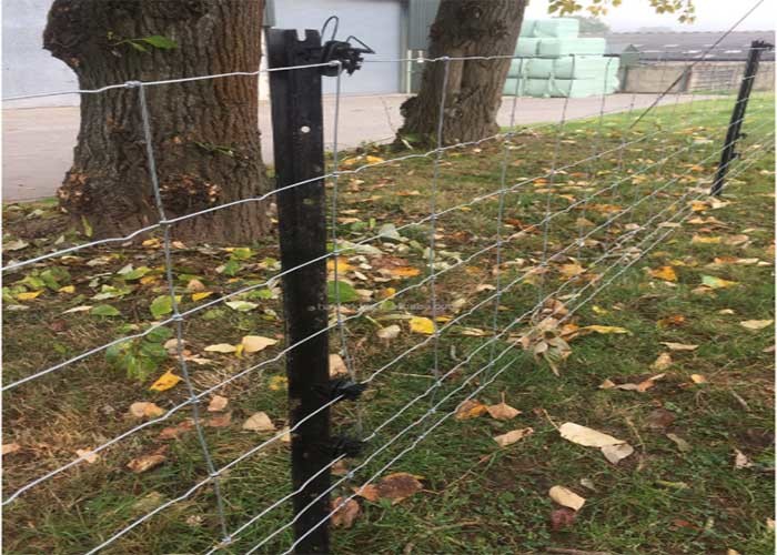 Painted Green Color 2000pcs Farm Fence Studded T Post 6 Ft