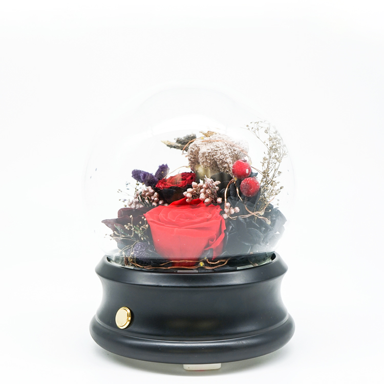 Beautiful Preserved Rose Glass Dome Gift For Valentine's Day / Anniversary