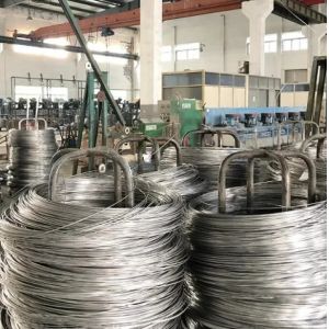  Stainless Steel Exceptionally Strong Wire For Versatile Applications Manufactures