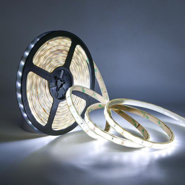 Quality DC 12V Half Casing PU Pipe strip lamp IP68/IP67 Waterproof Cold White 2835 High CCT LED Light Strip for sale