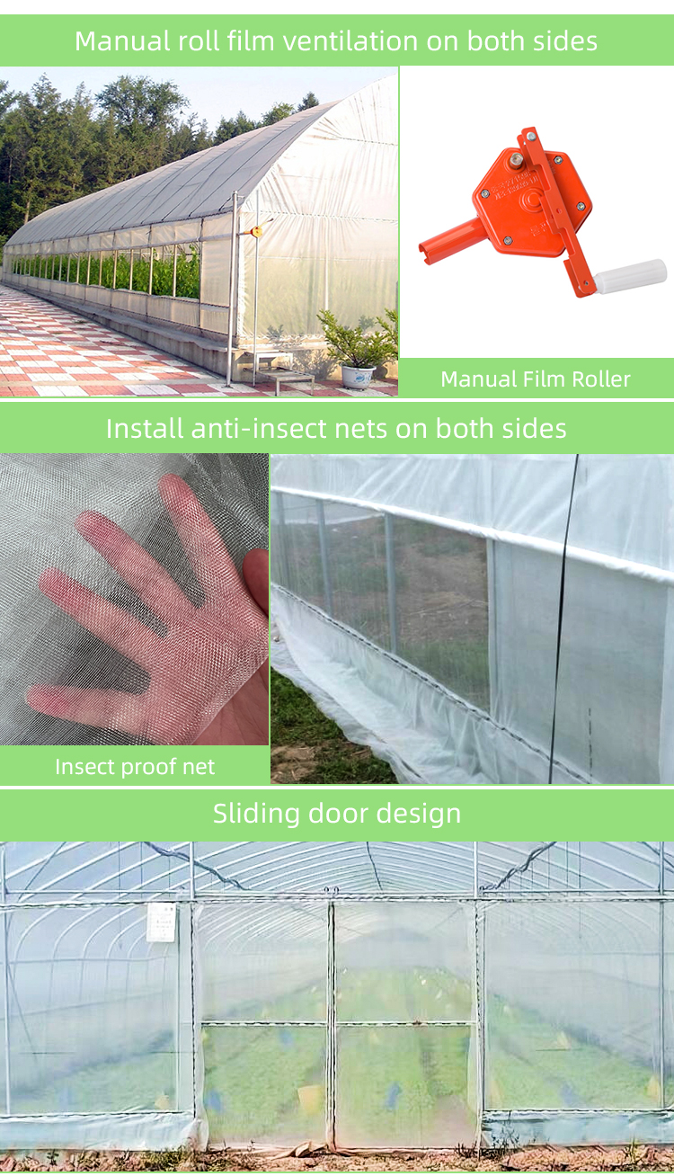 High-Performance PE Film Tunnel Greenhouse for Agricultural Projects