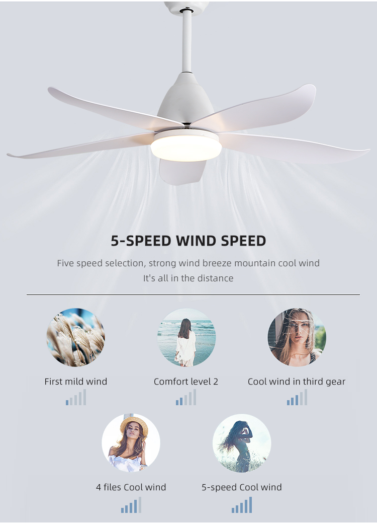Fancy Iron 3000K 35W 5 ABS Blade Ceiling Fan Lamp Big Natural Style