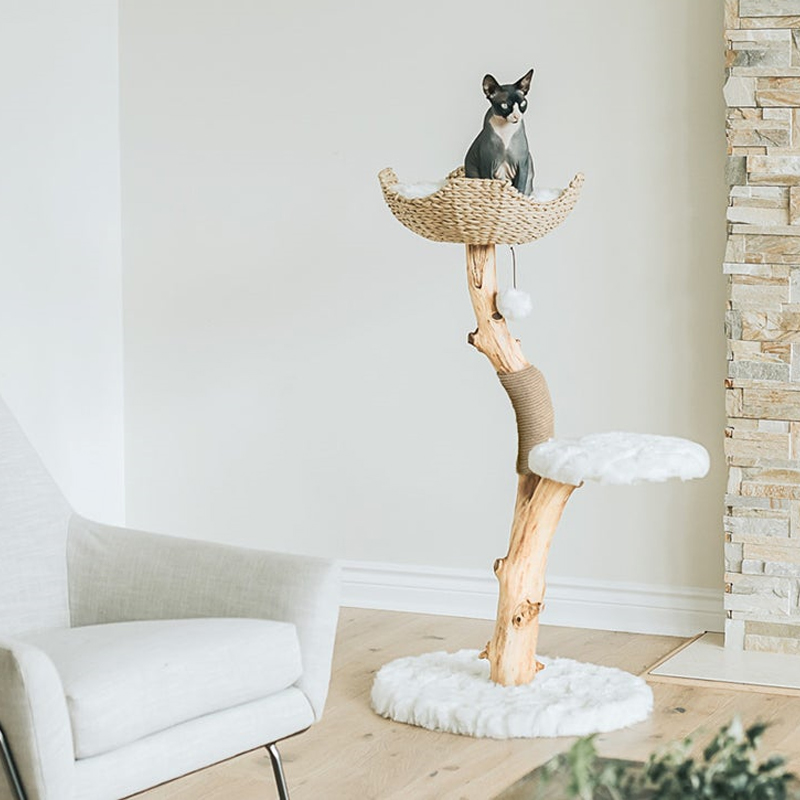 Cat Tree Unique Design Natural Wood Cat Tower Easy Climbing Small cat