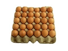 Eco Friendly Reciprocating Rotary Egg Tray Forming Machine With Hot Air Drying