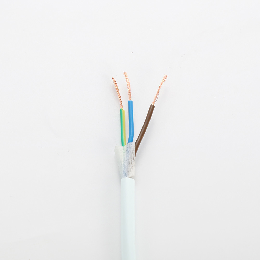 RVV Heatproof Multi Strand Flexible Cable , Multi Core Copper Wire For Electricity