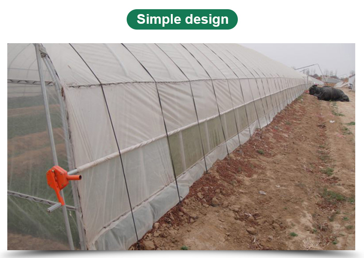 Tunnel Greenhouse for Strawberries and Tomatoes Planting Fast Delivery within 30 Days
