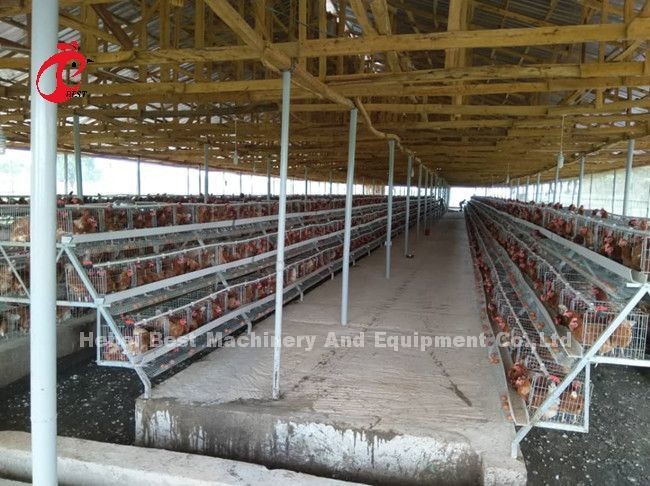 Easily Assemble 2.4mm Chicken Battery Cage Galvanized A Frame Emily