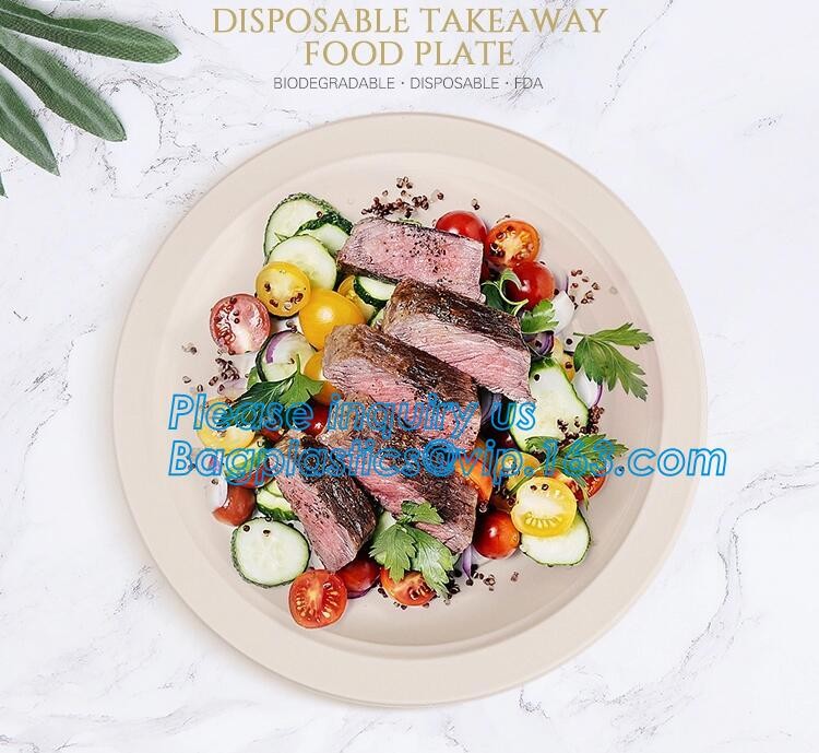 Meal Prep Containers Free Sample Bento Lunch Box Biodegradable Food Container Plastic Wheat Straw Lunch Box bagplastics