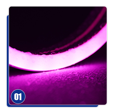 High Voltage Brightness Flexible Bande Luces Tape Led Strip Lights with Custom Size PVC
