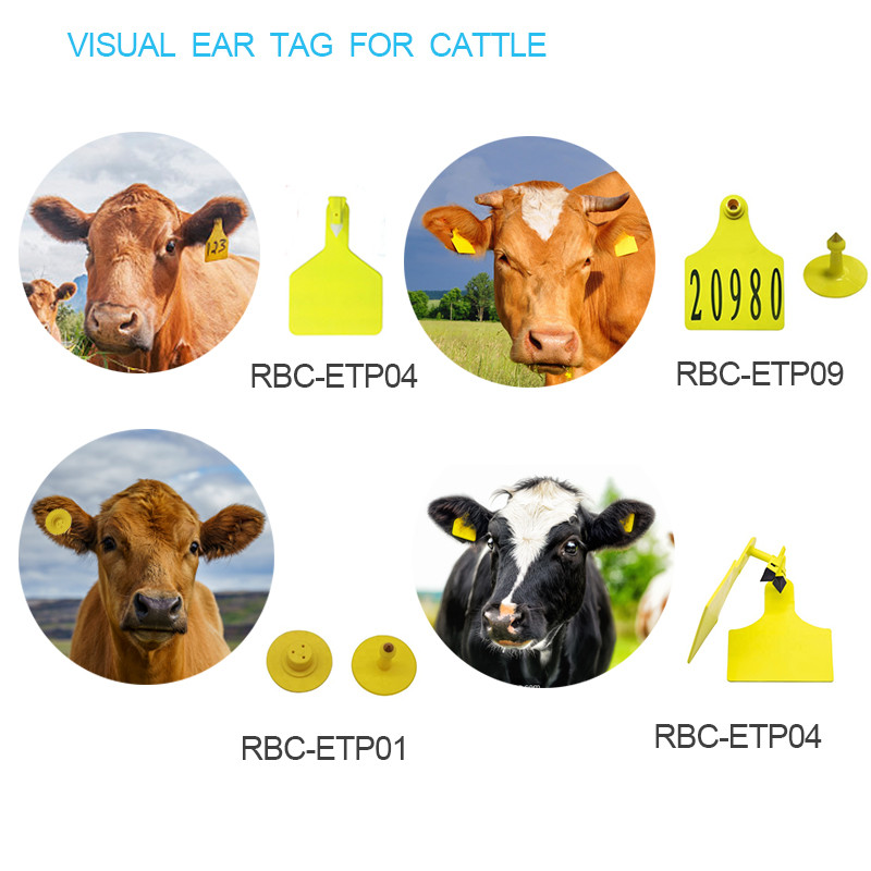 ISO Certificated 2 Pieces Livestock Ear Tags Laser Printing