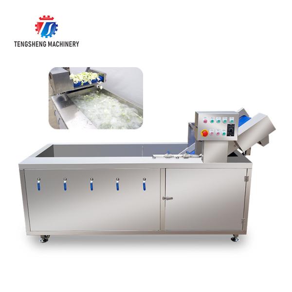 Tengsheng Vegetable Cleaning Machine , Multi Directional Sundries Filter Spinach