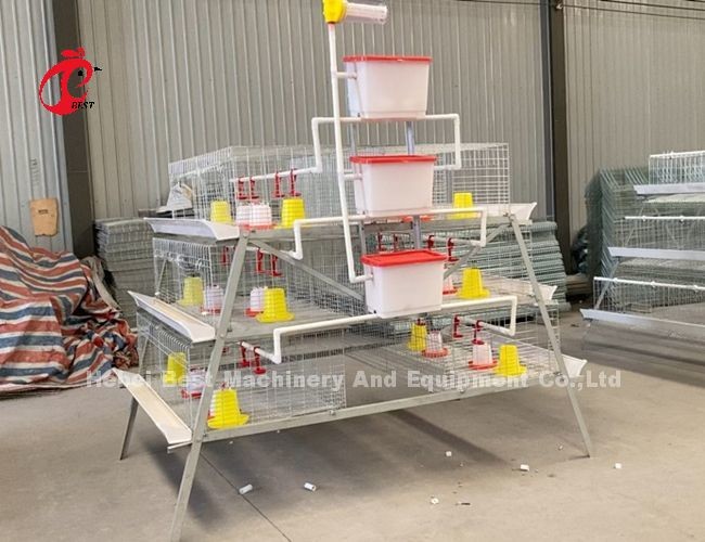 Intelligent Poultry Battery Cage System Semi Automatic And Automatic For Broilers Iris