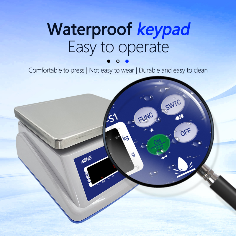 Double Screen Waterproof Electronic Scale with LED Display and 30kg Maximum Capacity