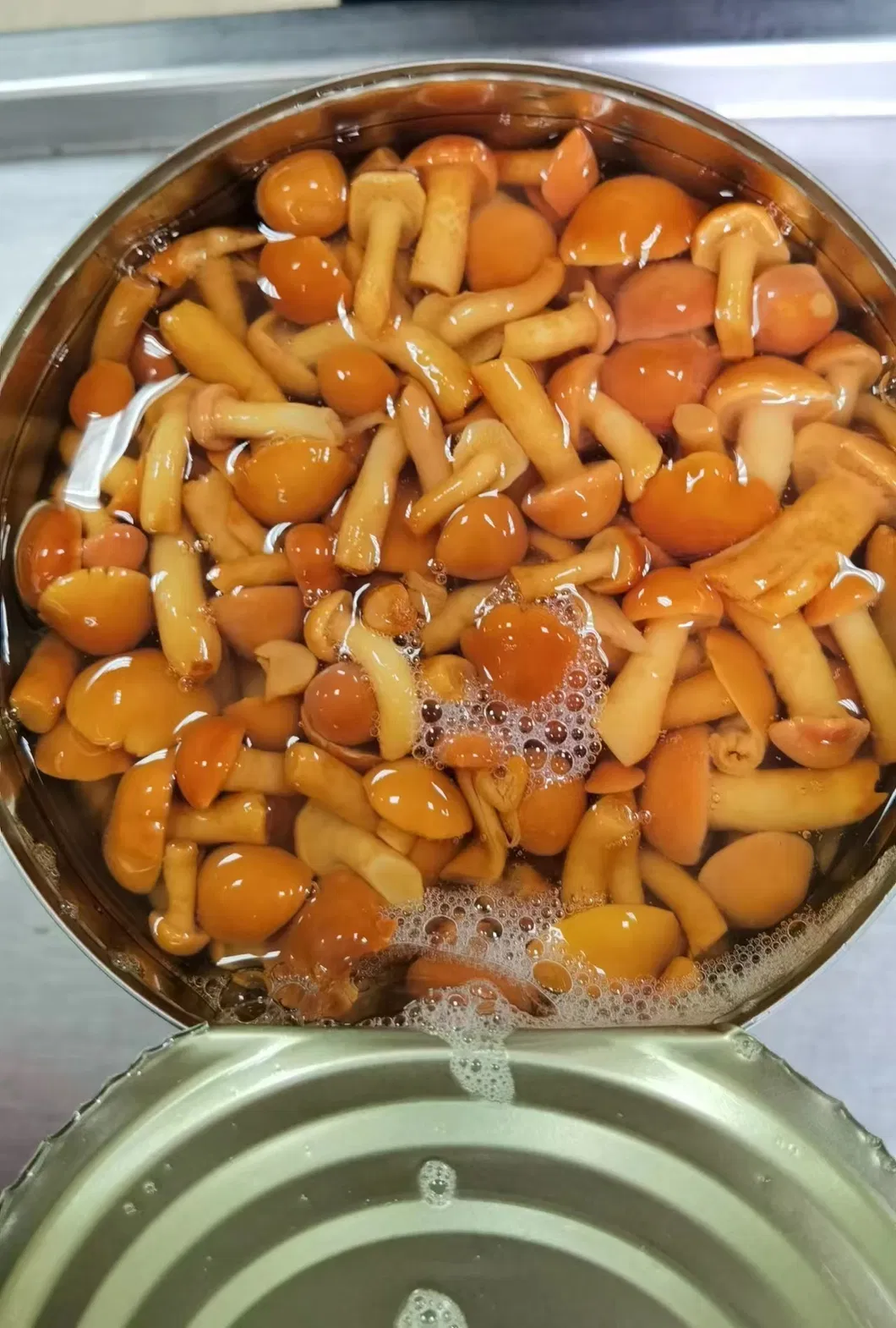 Canned Nameko in Brine in Drum/Jar/Tin Supplier