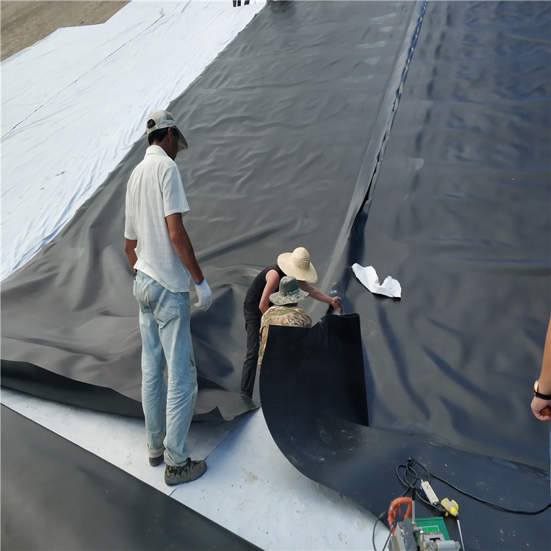 Contemporary 0.7mm 0.5mm 1mm Geomembranas Fish Farm Pond Liner Hdpe Geomembrane Sheet