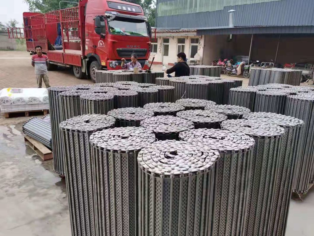 1000 Series with 25.4mm Pitch Plastic Conveyor Modular Belt