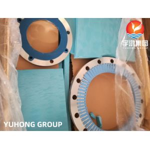 ASTM A182 F304 F304L Stainless Steel Forged Flanges F.F. / R.F. And R.T. Face