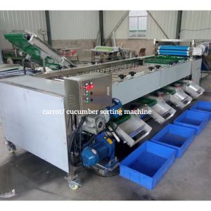 China Carrot Sorting Machine, Carrot Grading Machine, Carrot Calibration on sale