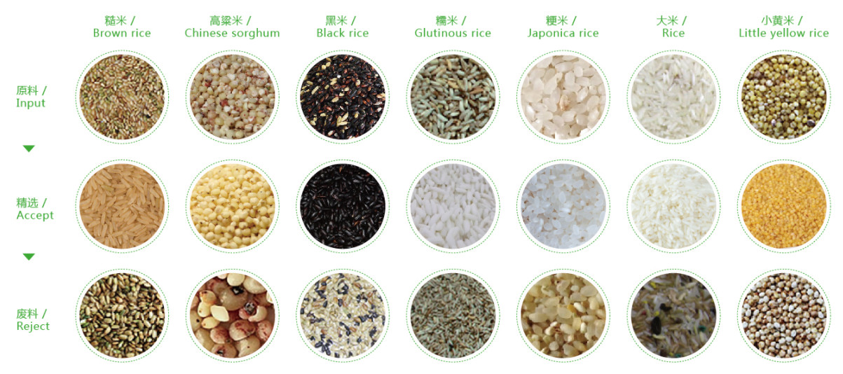 Wenyao Color Sorter Nuts Rice Grains Beans Tea Seeds Sorting Machine For Food Industry