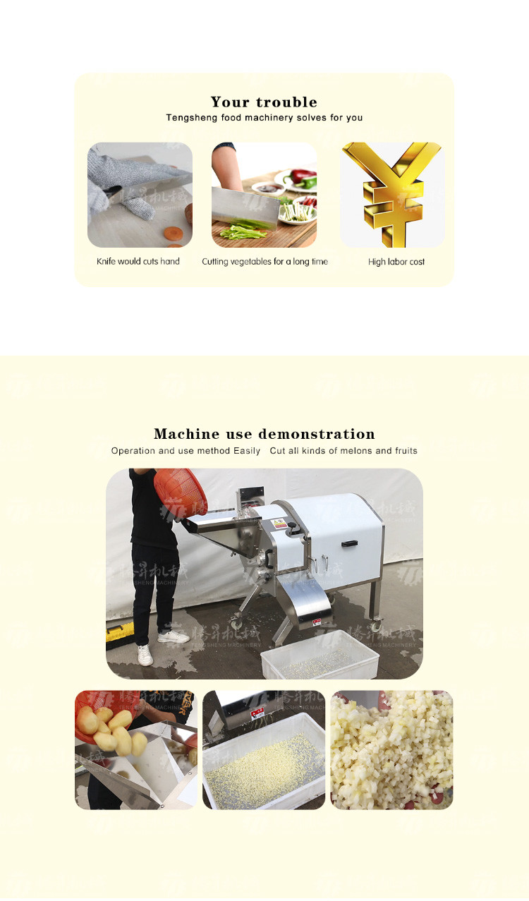 1000KG/H Large plant equipment large fruit and vegetable dicing machine aloe dicing machine potato and strawberry dicing