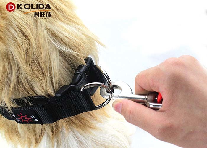 Multi Color Safety LED Dog Collar Harness Flashing Light Up For Dark Environment / Night