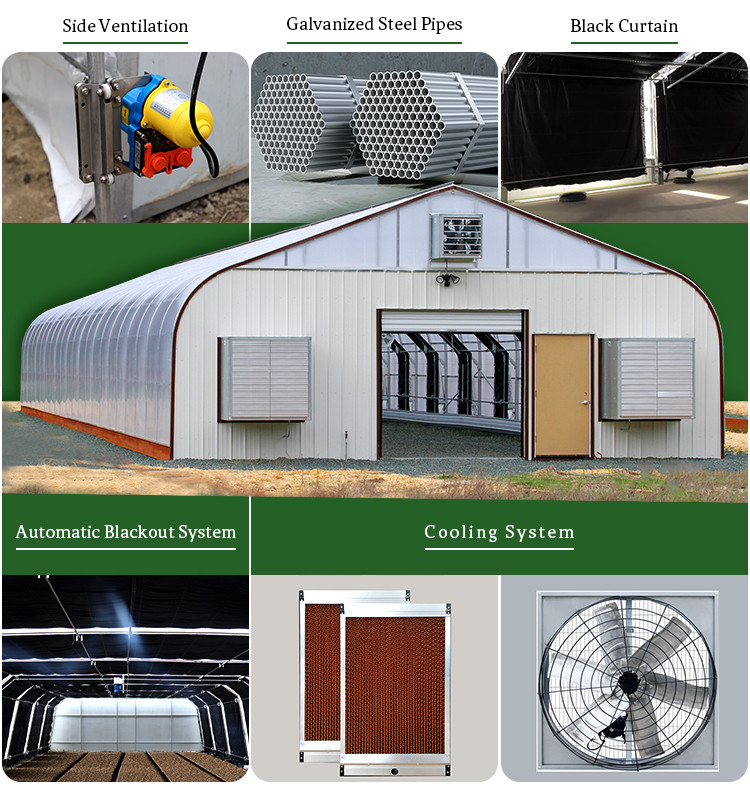 Agricultural Single Span Tunnel Plastic Film DIY Backyard Light Dep Greenhouse