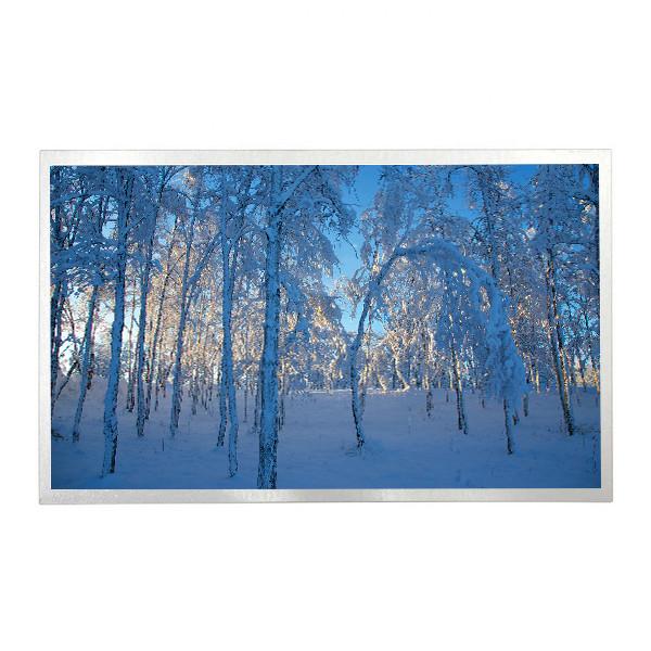 15.6in industrial lcd panel display G156XTN01.0 LCD Monitors Touch Screen