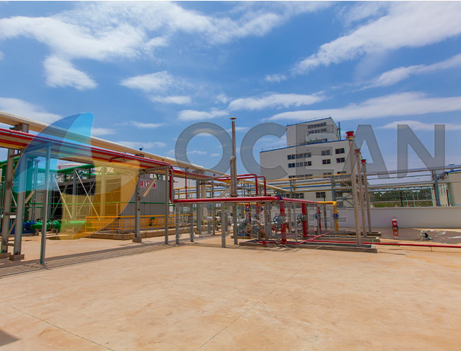 Turnkey Project Oil And Fat Extraction Plant Edible Oil Solvent Extraction Plant