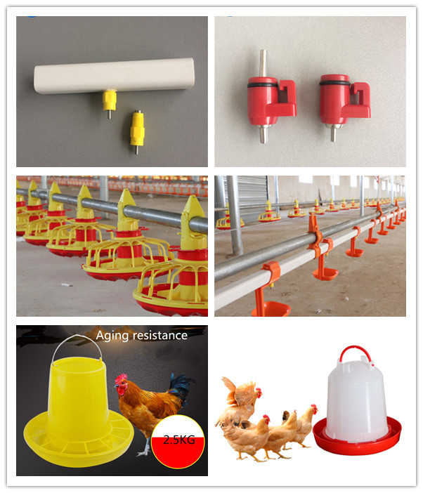 3L Poultry Plastic Chicken Feeders And Waterers