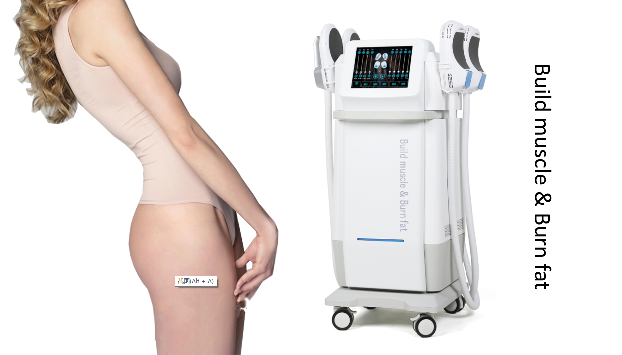 Electric EMS Sculpting Machine Commercial Professional Muscle Stimulator Machine 230V
