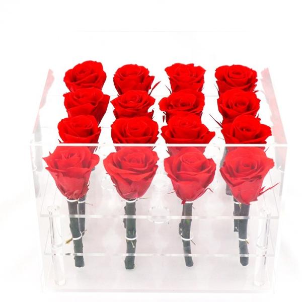 Handmade Preserved Roses Live , Real Touch Flower Decoration For Wedding