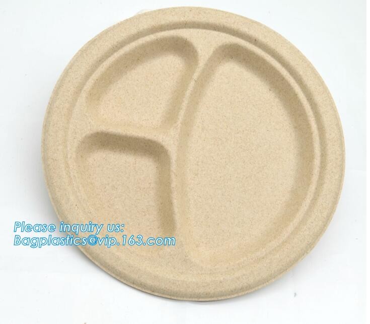 Meal Prep Containers Free Sample Bento Lunch Box Biodegradable Food Container Plastic Wheat Straw Lunch Box bagplastics
