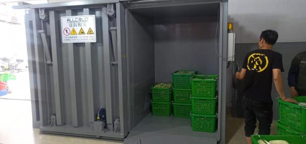 380V Agricultural Farming Vacuum Precooling Chamber For Vegetables Lettuce