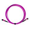 Buy cheap 24 Fiber MPO Patch Cable Multimode High Tensile Strength Violet Cable Color from wholesalers