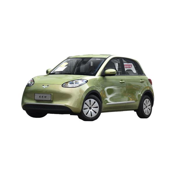 Pure Electric Saic Wuling Bingo Ev Car 333km Range Flexible Connected Mini 4