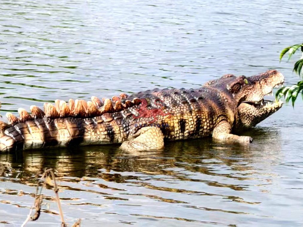 New Realistic Animatronic Remote Control Swimming Robot Crocodile