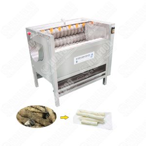 Multi Function Sugar Cane Cleaning Machine Brusher Washing Date Machine