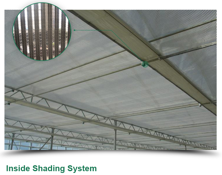Optimize Tomato Production with 8m Width Glass Greenhouse and Farm Irrigation Systems
