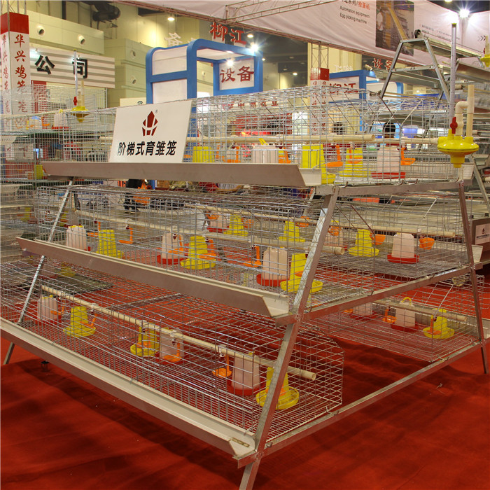 195 * 50 * 35CM Chick Brooder Cage , High Efficiency Cage Layer Farming