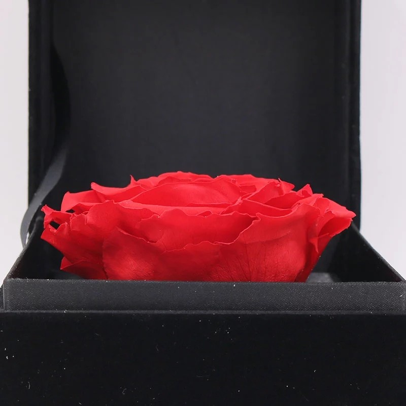 Ecuador Eternal rose luxury gift 10cm preserved rose in Velvet box preserved rose