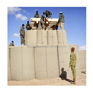 Performance Welded Mesh Galvanized Wire Mesh High Strength Gabion Barrier for