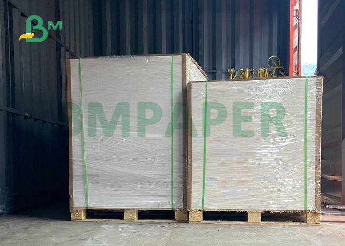 250gsm + 15g PE Coated Paper For Coffee Cups 690 * 600mm Excellent Printing