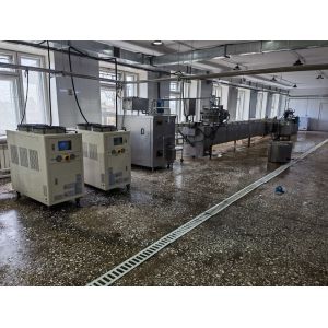 High Productivity Full Auto Ice Cream Processing Line with Machinery Function