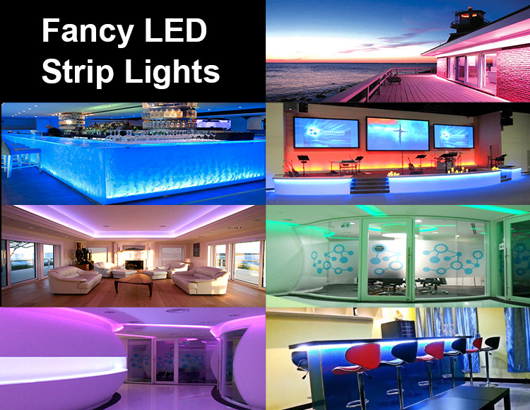 CE RoHS Approved RGBW LED Light Strips 15W 12V 24V Constant Current Showcase Lighting