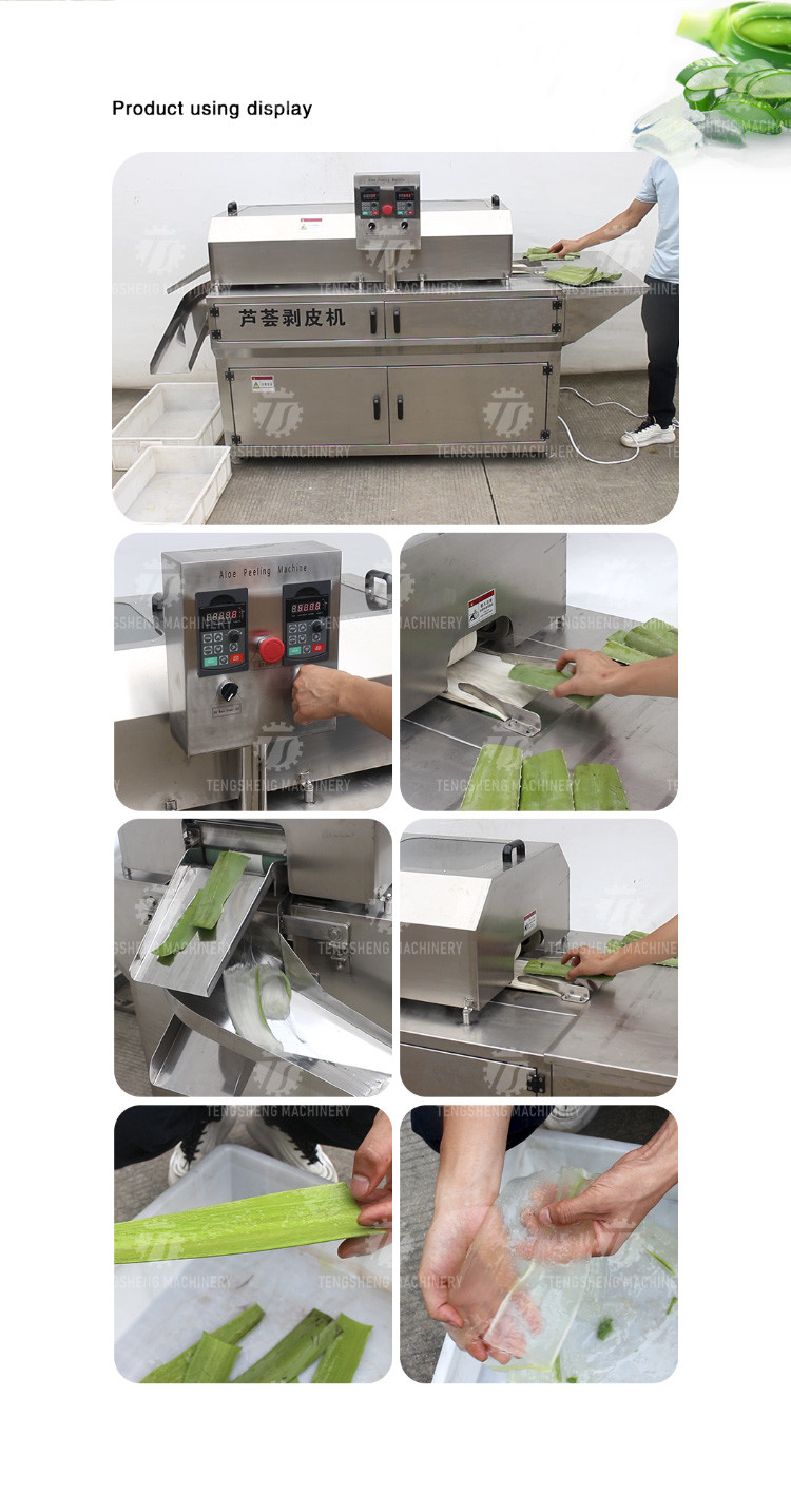 0.75KW Fruit And Vegetable Peeler Machine Aloe Food Processor